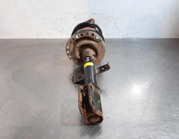 Shock Absorber RENAULT CAPTUR I (J5_, H5_), RENAULT CLIO IV (BH_)