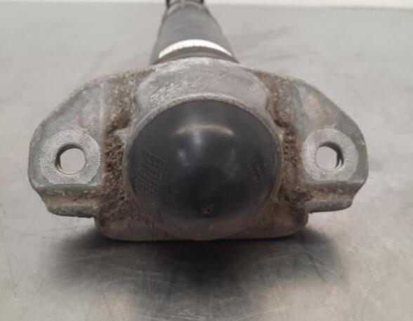 Shock Absorber CUPRA BORN (K11)