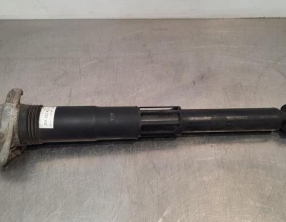 Shock Absorber CUPRA BORN (K11)