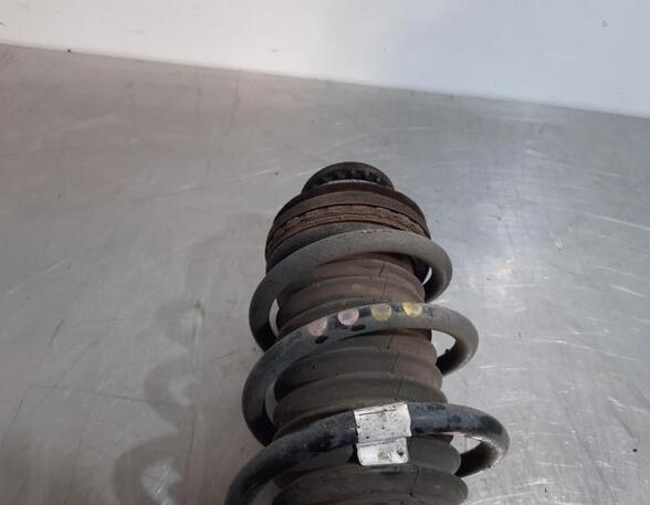 Shock Absorber FIAT TIPO Estate (356_), FIAT TIPO Hatchback (356_)