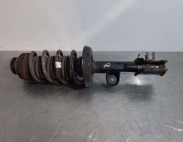 Shock Absorber FIAT TIPO Estate (356_), FIAT TIPO Hatchback (356_)