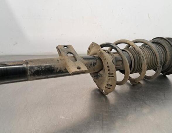 Shock Absorber SKODA SCALA (NW1)