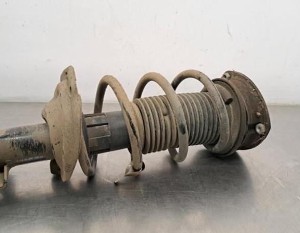 Shock Absorber SKODA SCALA (NW1)