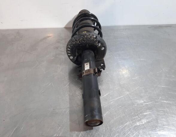 Shock Absorber SKODA ROOMSTER (5J7), SKODA ROOMSTER Praktik (5J)