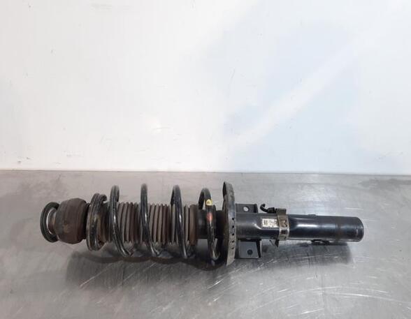 Shock Absorber SKODA ROOMSTER (5J7), SKODA ROOMSTER Praktik (5J)