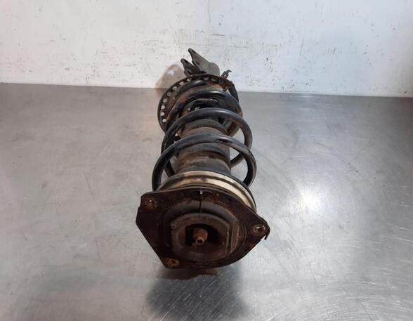 Shock Absorber RENAULT KANGOO Express (FW0/1_)