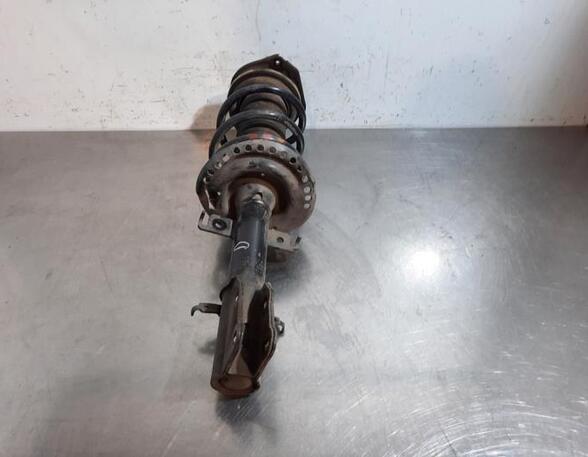 Shock Absorber RENAULT KANGOO Express (FW0/1_)