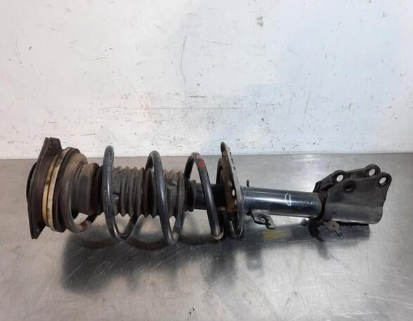 Shock Absorber RENAULT KANGOO Express (FW0/1_)