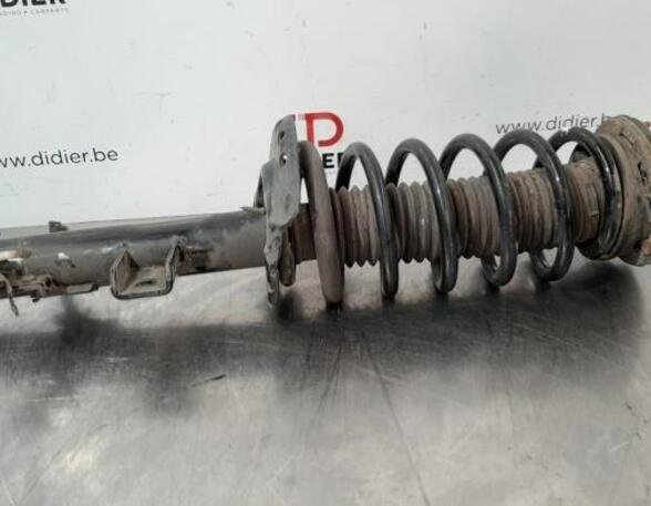 Shock Absorber LAND ROVER FREELANDER 2 (L359)