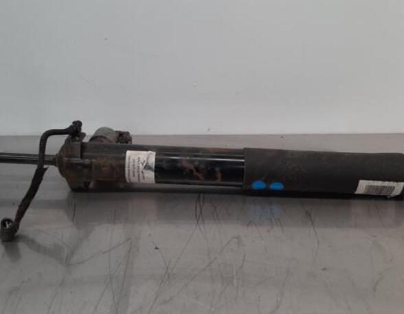 Shock Absorber DS DS 4 II (F_, FB_, F3_)