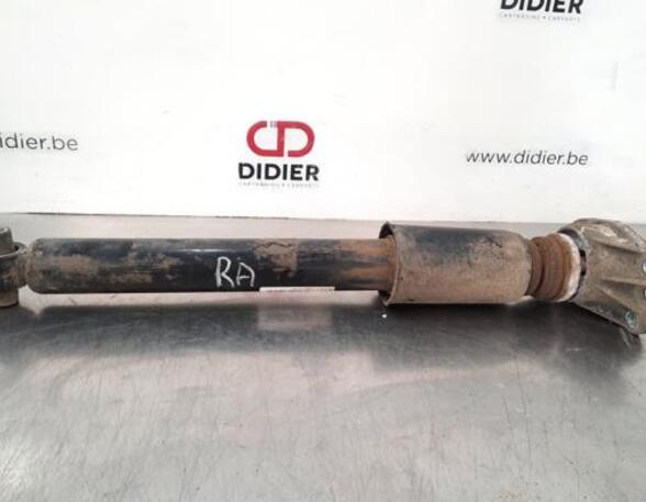 Shock Absorber BMW 1 (F20)