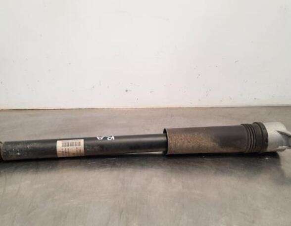 Shock Absorber MERCEDES-BENZ B-CLASS (W247)