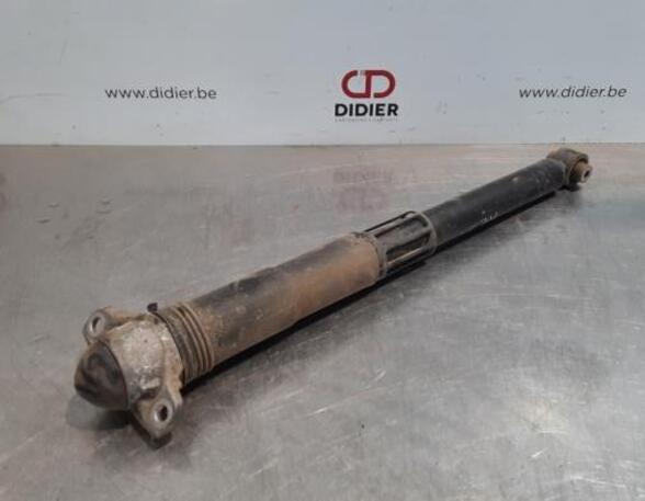 Shock Absorber VW TIGUAN (AD1, AX1), VW TIGUAN ALLSPACE (BW2)