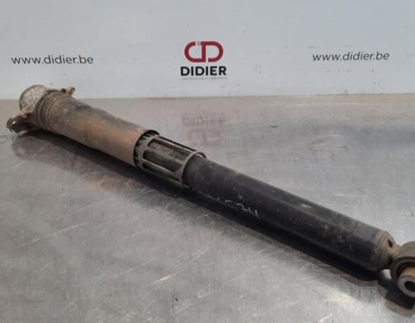 Shock Absorber VW TIGUAN (AD1, AX1), VW TIGUAN ALLSPACE (BW2)