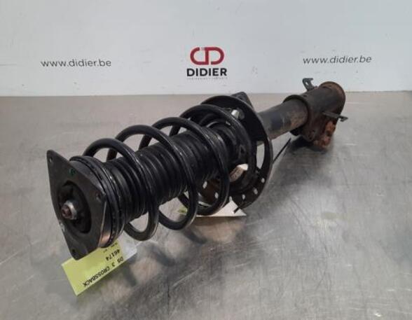 Shock Absorber DS DS 3 / DS 3 CROSSBACK (UR_, UC_, UJ_)