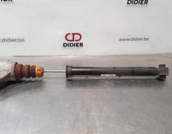 Shock Absorber AUDI A4 (8W2, 8WC, B9)