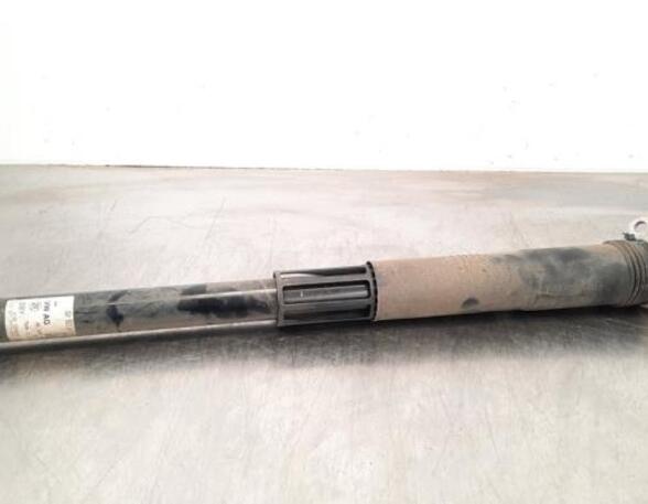 Shock Absorber SKODA KAMIQ (NW4)