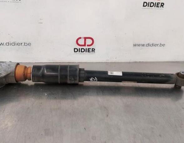 Shock Absorber AUDI A4 Avant (8W5, 8WD, B9)