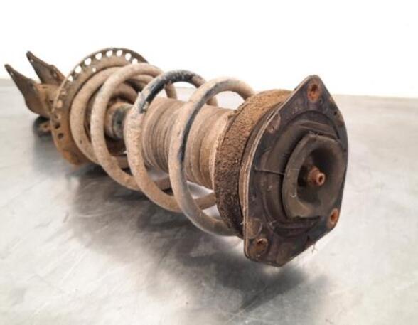 Shock Absorber RENAULT KANGOO Express (FW0/1_)