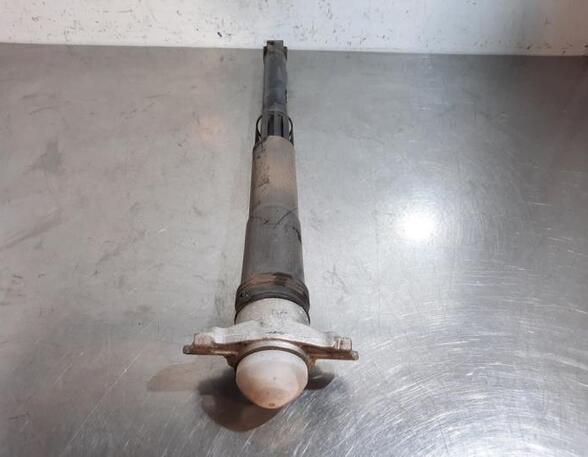 Shock Absorber SKODA SCALA (NW1)