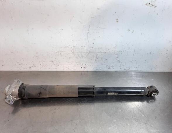 Shock Absorber SKODA SCALA (NW1)