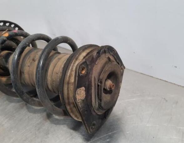 Shock Absorber RENAULT KANGOO Express (FW0/1_)