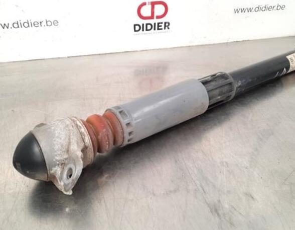 Shock Absorber AUDI A3 Limousine (8VS, 8VM)