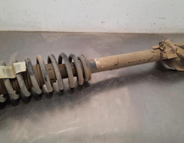 Shock Absorber MERCEDES-BENZ M-CLASS (W166)