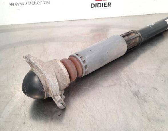 Shock Absorber AUDI A3 Limousine (8VS, 8VM)