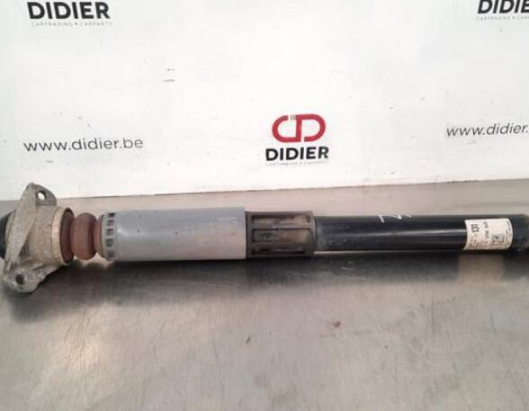 Shock Absorber AUDI A3 Limousine (8VS, 8VM)