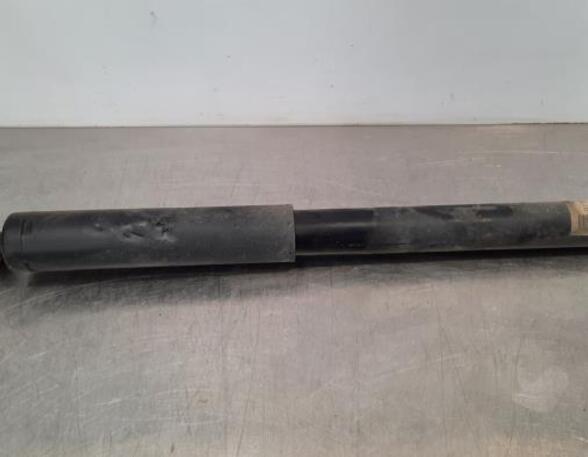 Shock Absorber FORD TRANSIT V363 Platform/Chassis (FED, FFD)