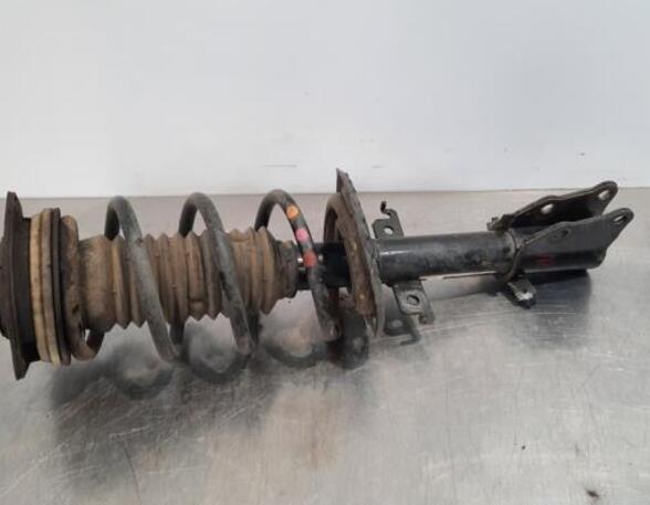 Shock Absorber RENAULT KANGOO Express (FW0/1_)