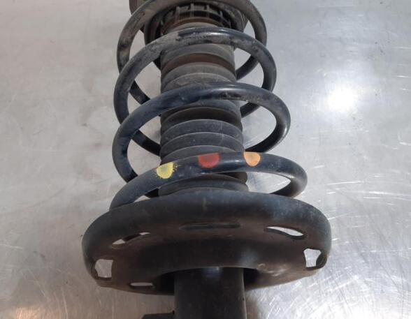 Shock Absorber CITROËN C3 II (SC_), CITROËN C3 III (SX)