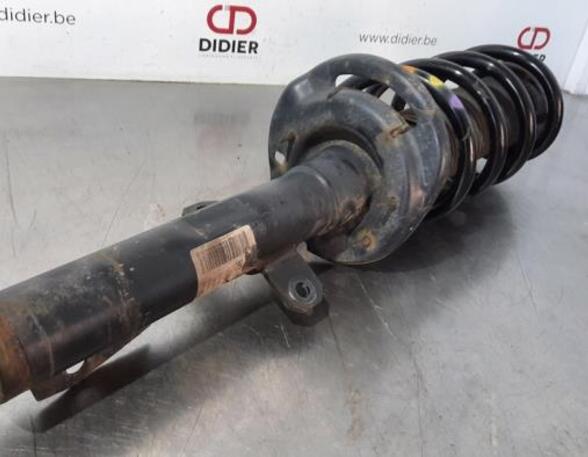 Shock Absorber FORD TRANSIT V363 Bus (FAD, FBD)