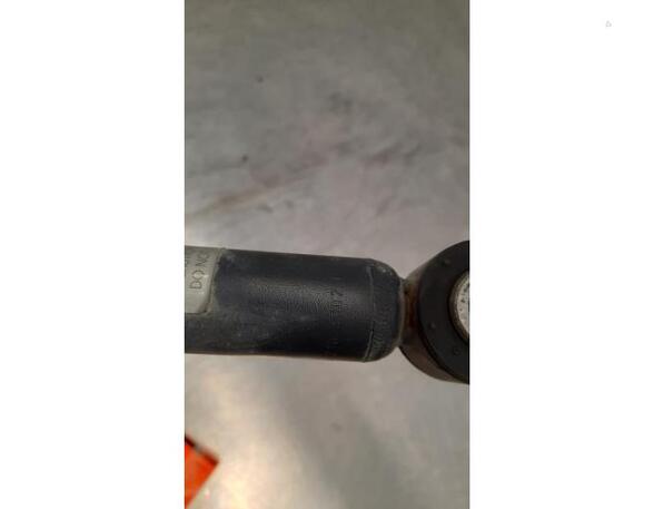 Shock Absorber RENAULT CLIO V (B7_)