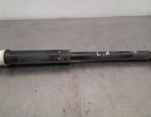 Shock Absorber RENAULT CLIO V (B7_)