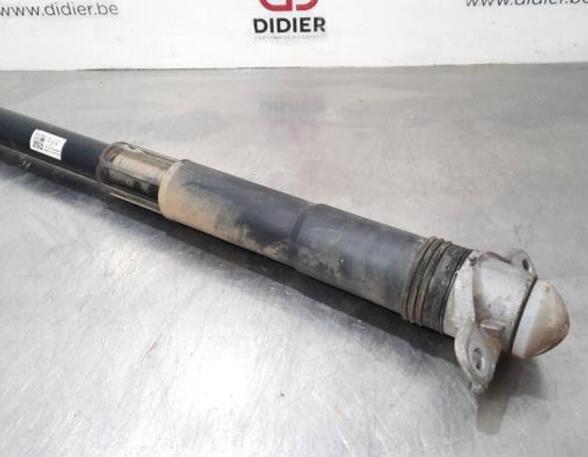 Shock Absorber SKODA SCALA (NW1)