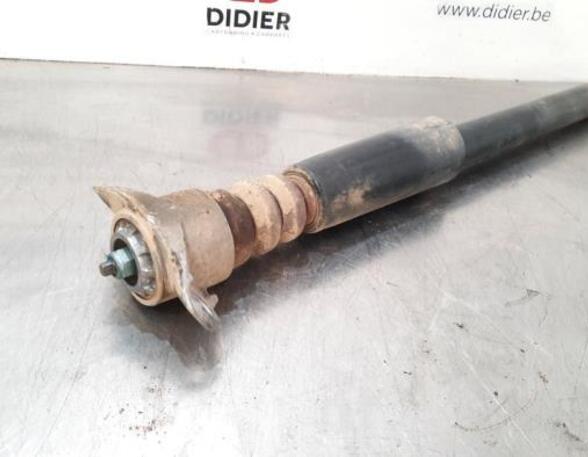 Shock Absorber SKODA FABIA III (NJ3)