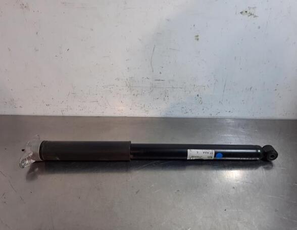 Shock Absorber FORD C-MAX II (DXA/CB7, DXA/CEU)