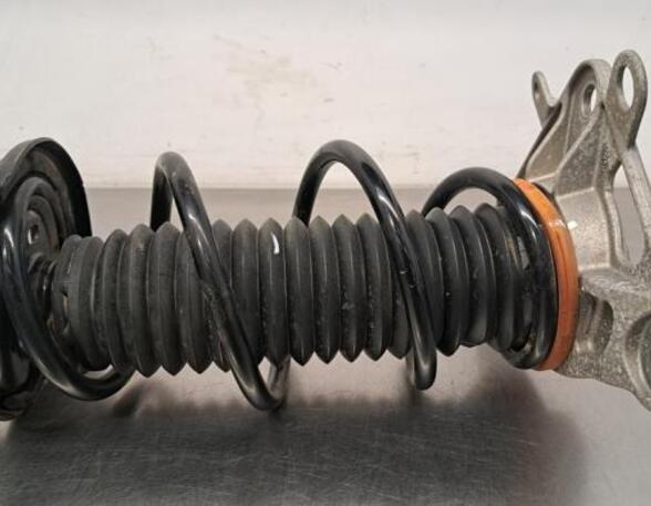 Shock Absorber FIAT 500X (334_)