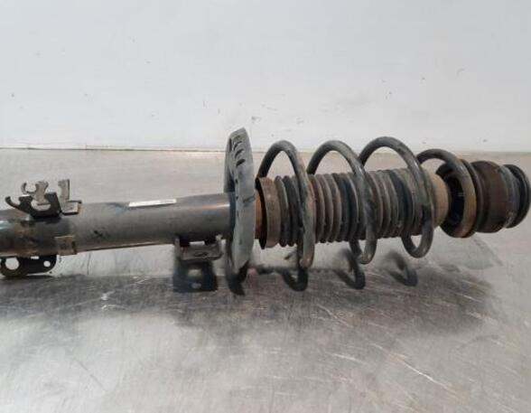 Shock Absorber VW POLO (6R1, 6C1)