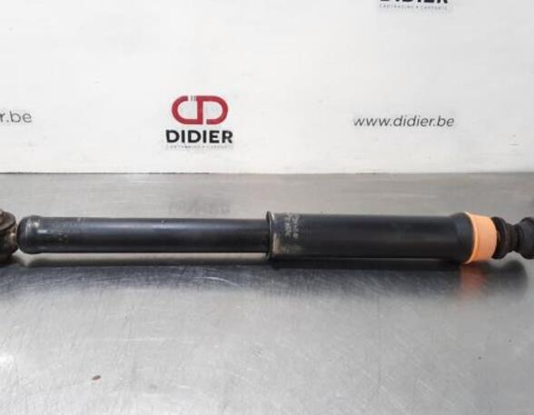 Shock Absorber RENAULT CAPTUR II (HF_)