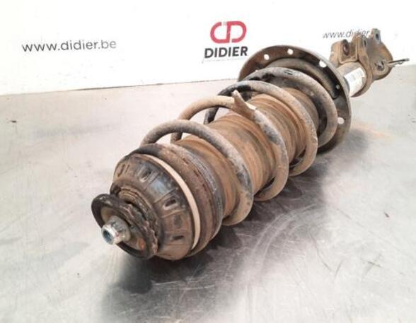 Shock Absorber FIAT TIPO Estate (356_), FIAT TIPO Hatchback (356_)