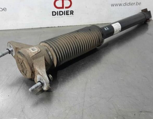 Shock Absorber TESLA MODEL 3 (5YJ3)