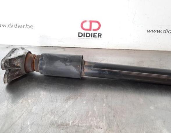 Shock Absorber BMW 3 Touring (F31)