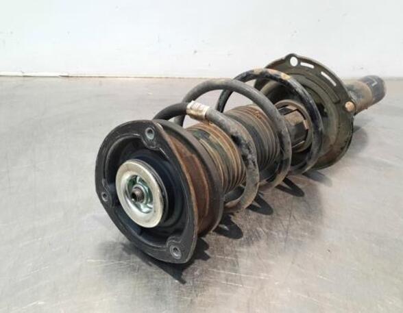 Shock Absorber VW PASSAT B8 Variant (3G5, CB5), VW PASSAT (3G2, CB2)