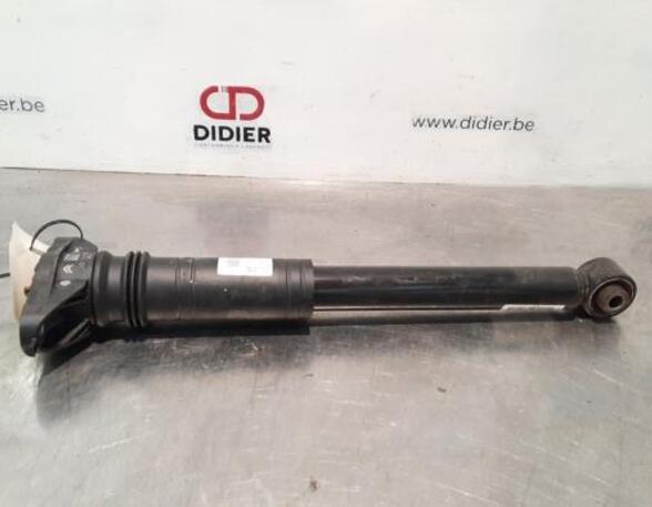 Shock Absorber DS DS 3 / DS 3 CROSSBACK (UR_, UC_, UJ_)