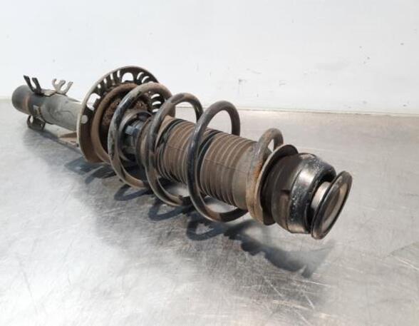 Shock Absorber VW POLO (6R1, 6C1)