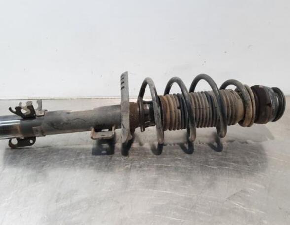 Shock Absorber VW POLO (6R1, 6C1)