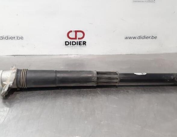 Shock Absorber SKODA SCALA (NW1)